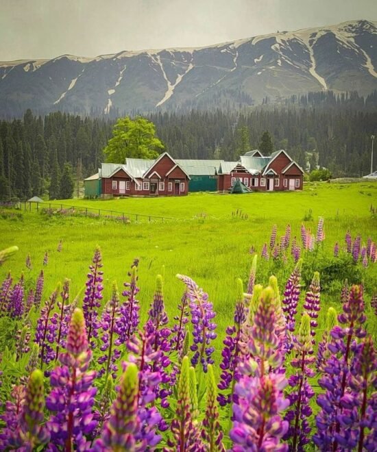 Pahalgam
